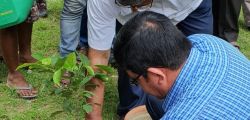 Tree plantation at Poura Bhawan"